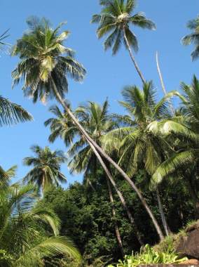 Activité Guyane · Hôtel Belle Terre Resort 3*